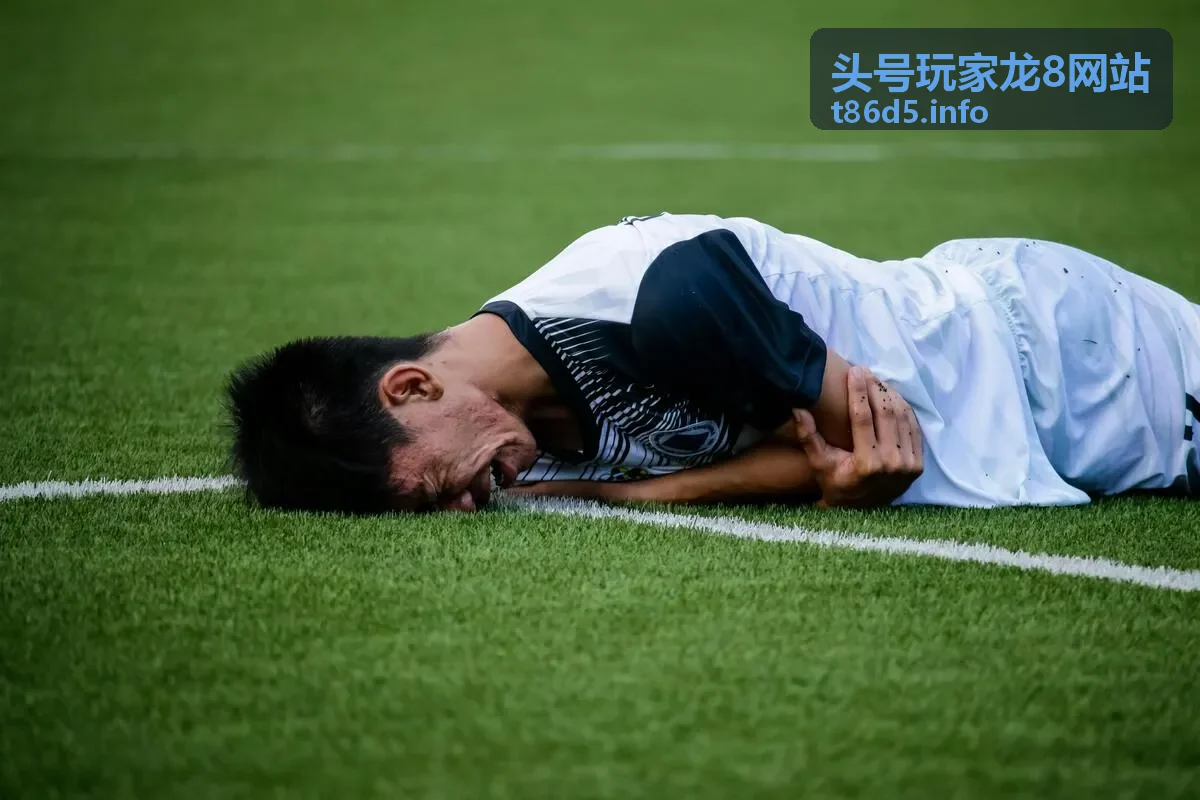头号玩家龙8网站客服支持界面